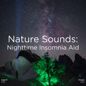 수면을위한 바다의 소리