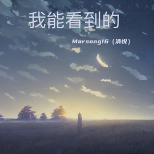 我能看到的