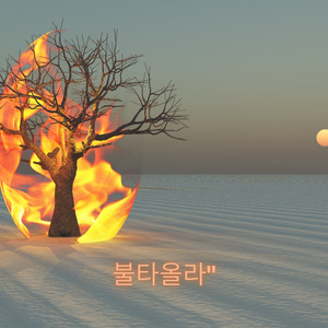 불타올라"