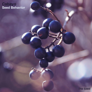 Behaviour (Original Mix)