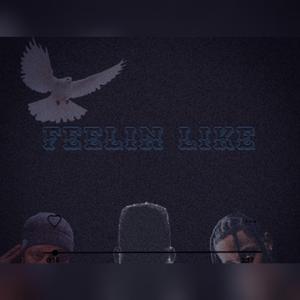 Feelin Like (feat. CONTENT & Jahquiin)