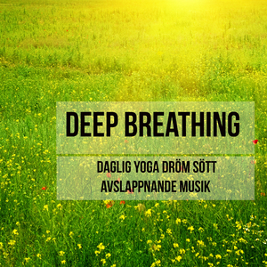 Namaste (Sea Waves, Relaxation)