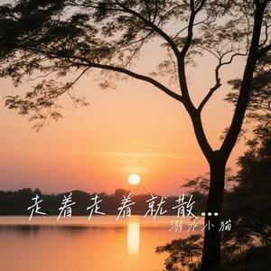 走着走着就散了 (Cover 庄心妍)