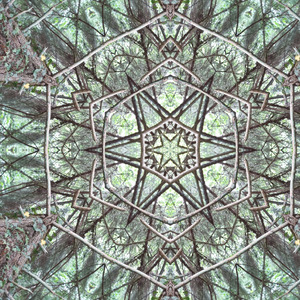 Aiding the mind in grasping concepts with agility