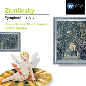 Symphony No.1 in D Minor (2005 Remastered Version):I. Allegro, ma non troppo