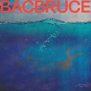 Silbido Subacuático