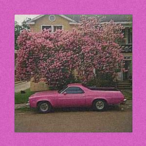 Pink Chevy (feat. djsb129)