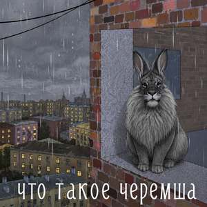 что такое черемша