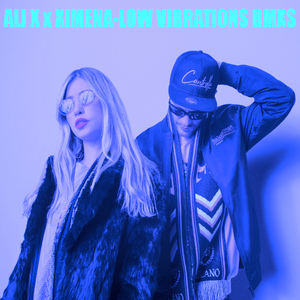 Low Vibrations (Eric Duncan Remix)