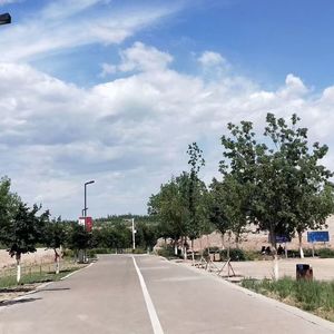 Sog'nidim 清唱1354