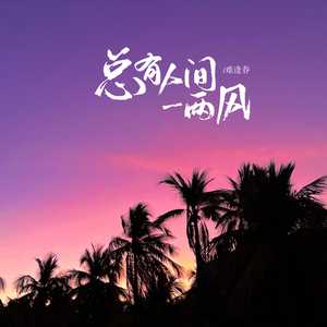 总有人间一两风