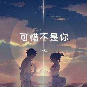 可惜不是你