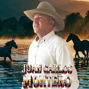 Ya No Volveré a Rogarte