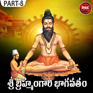 BRAMAHAM GARI BAGAVATHAM, Pt. 8