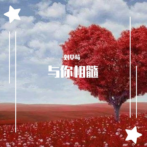 群星-与你相髓