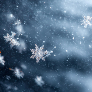 雪落下来时 我正在想你