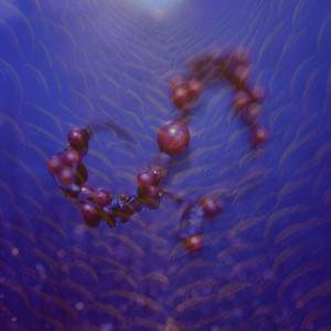 Escape From The Bottom