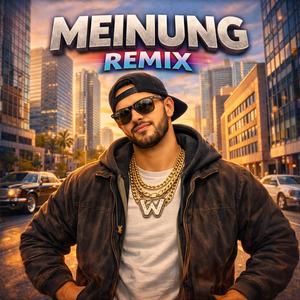Meinung (Remix)