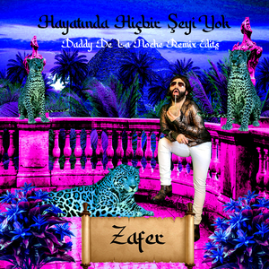 Hayatında Hiçbir Şeyi Yok (Disco House Radyo Edit)