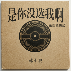 是你没选我啊(乐队现场版)