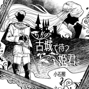 古城で待つ姫君よ