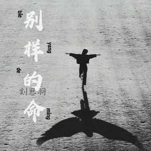 别样的命