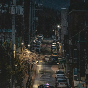 이상과 현실의 괴리