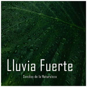 Dormir con Sonidos de Lluvia, Pt. 31