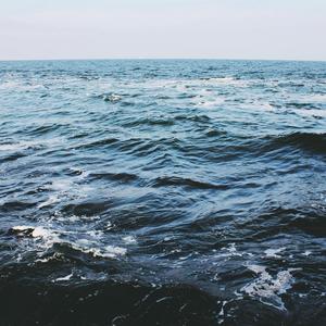 生きとし生けるもの