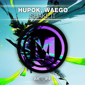 Shake It (Original Mix)