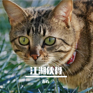 江湖侠骨恩仇长