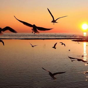 次仁拉索（改版）