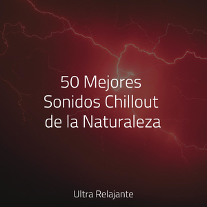 Sol De Otoño