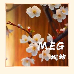 MEG