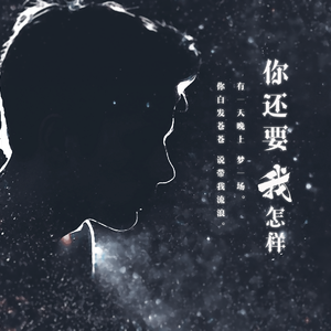 你还要我怎样（Cover 薛之谦）
