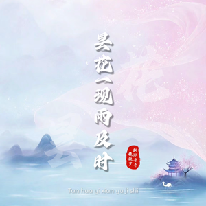 昙花一现雨及时