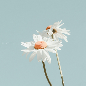 당신이 늘 행복하기를