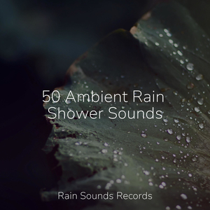 City Rain, Bolts, Cement