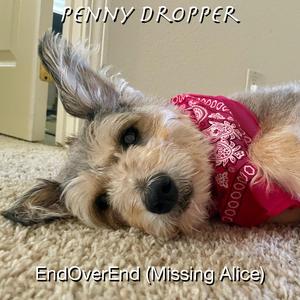 End Over End (Missing Alice)