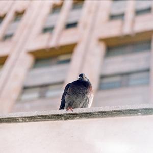 舒缓 采访 钢琴 预告