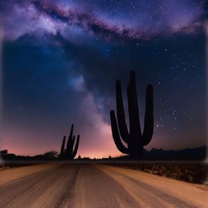 大自然轻音乐 (窗外的雨)