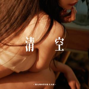 清空 (DJ小仓鼠版)