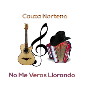 No Me Veras Llorando