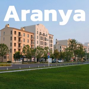 Aranya
