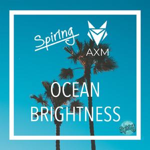 Ocean Brightness (feat. AXM)