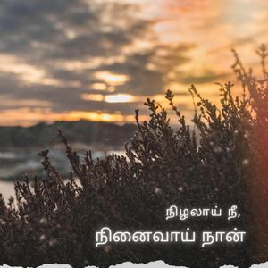 Nizhalai Nee, Ninaivaai Naan
