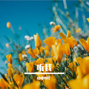 听我