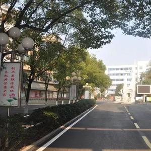 光荣的樟树中学领唱版