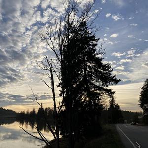 Steroids (Crouching Tiger Hidden Gabber)