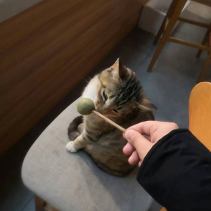 老男孩（KTV版）